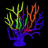 Underwater Treasures Gorgonian - Rainbow  