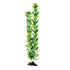 Underwater Treasures Green Bacopa - 20"  