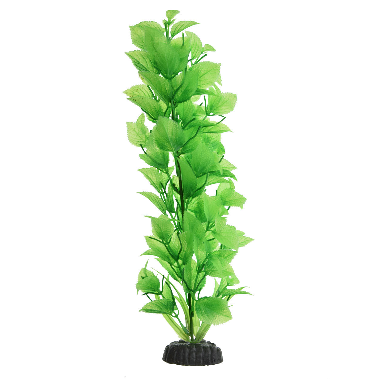 Underwater Treasures Green Broadleaf - Tall  