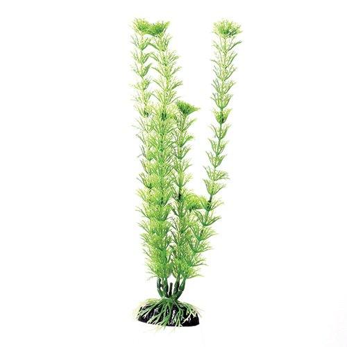 Underwater Treasures Green Cabomba - 12"  