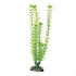 Underwater Treasures Green Cabomba - 12"  