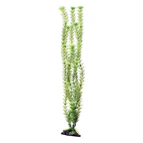 Underwater Treasures Green Cabomba - 20"  