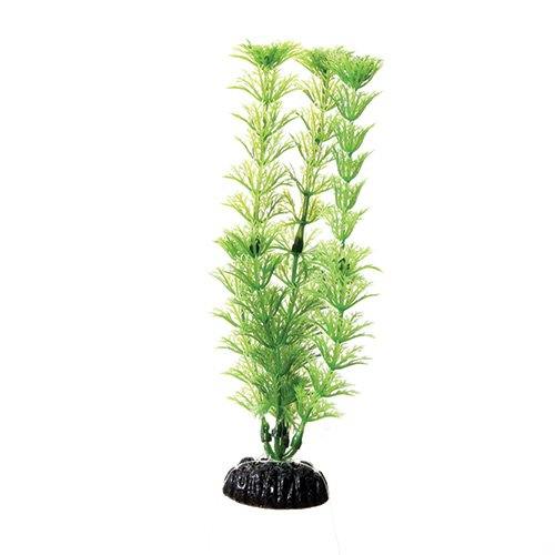 Underwater Treasures Green Cabomba - 8
