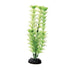 Underwater Treasures Green Cabomba - 8"  