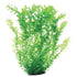 Underwater Treasures Green Cardamine - 24"  