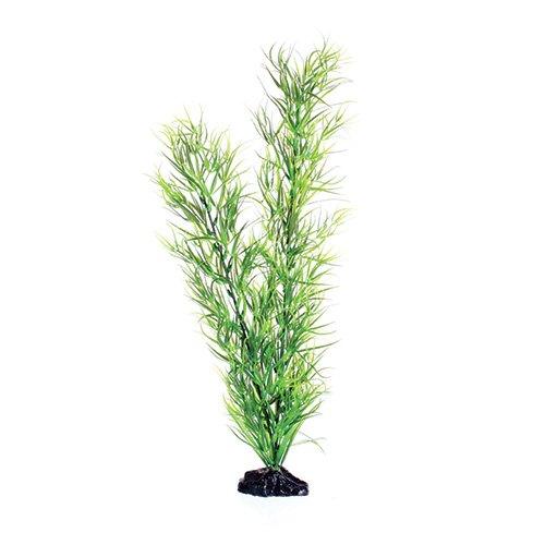 Underwater Treasures Green Diandra - 20"  