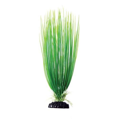 Underwater Treasures Green Hairgrass - 12"