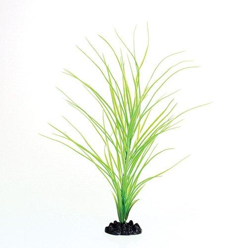 Underwater Treasures Green Hairgrass - 16"  