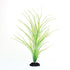 Underwater Treasures Green Hairgrass - 16"  