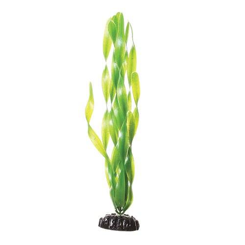 Underwater Treasures Green Jungle Vallisneria - 12