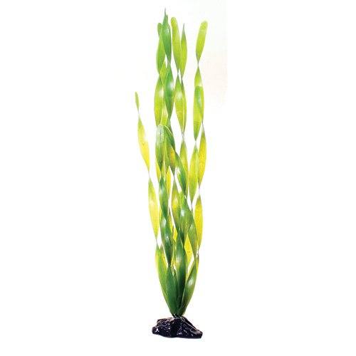 Underwater Treasures Green Jungle Vallisneria - 20"  