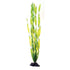 Underwater Treasures Green Jungle Vallisneria - 20"  