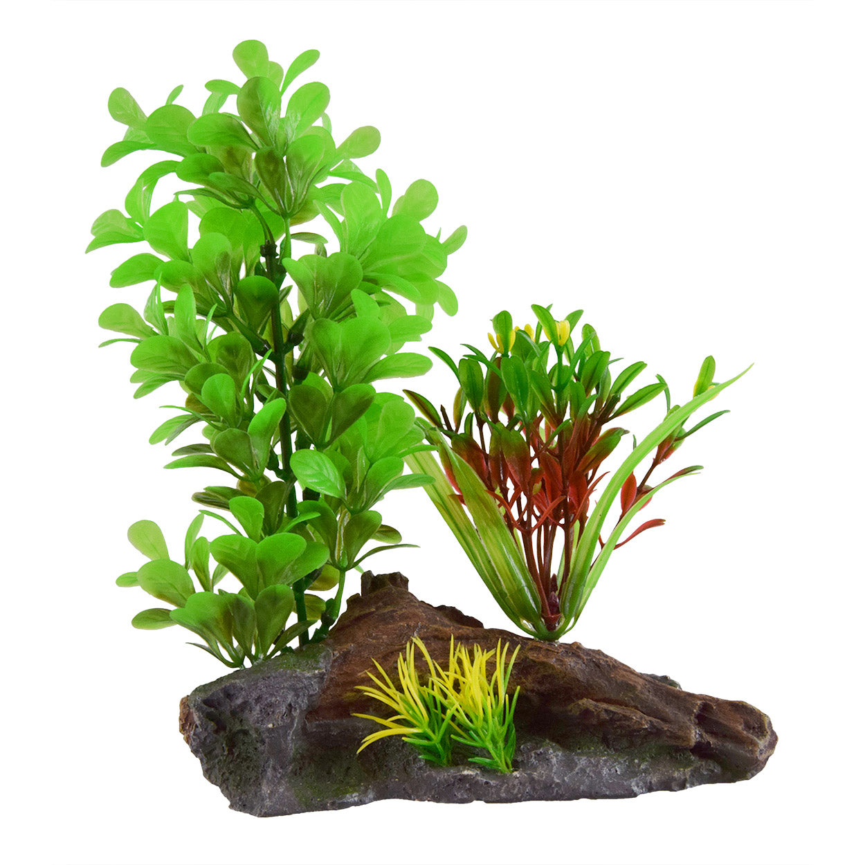 Underwater Treasures Green Ludwidgia On Wood  