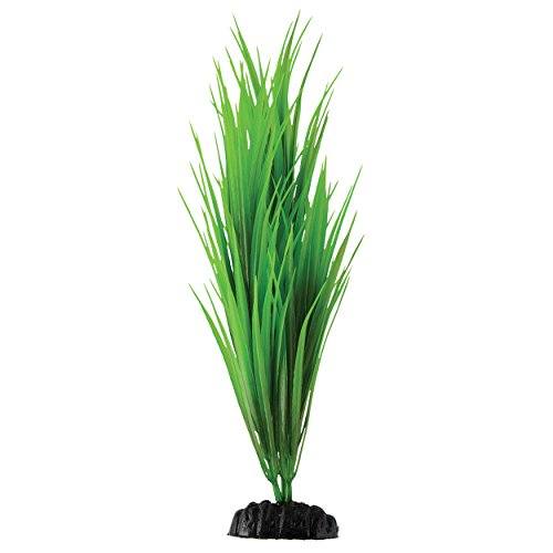 Underwater Treasures Green Nile Grass - 11.5"  