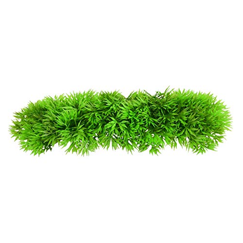 Underwater Treasures Green Star Fern  