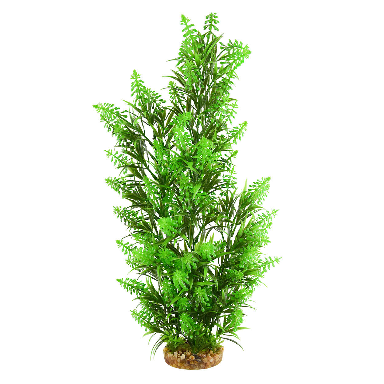 Underwater Treasures Green Tip Kelp - Tall  