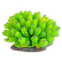 Underwater Treasures Green Tube Coral  
