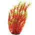 Underwater Treasures Green/Red Ludwigia - Tall  