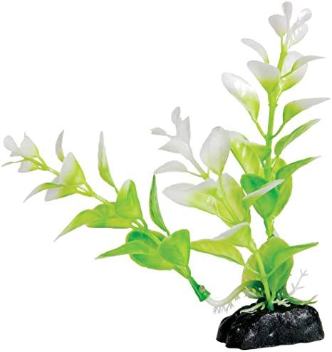 Underwater Treasures Green/Yellow Ludwigia - Tall  
