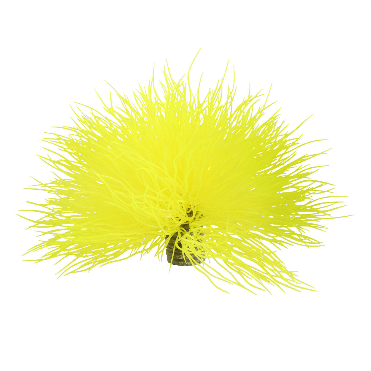 Underwater Treasures Hair Grass Ball - Yellow  