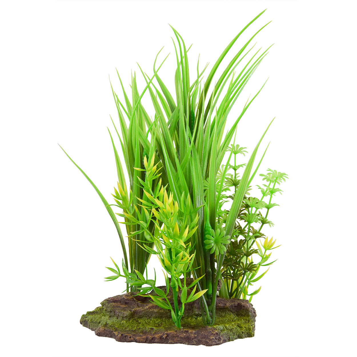 Underwater Treasures Hairgrass Trio  