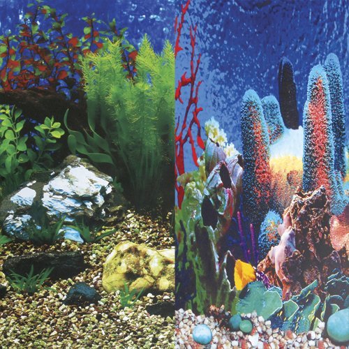 Underwater Treasures Hawaii Blue/Show Reef Reversible Background - 20" - Sold by the Fo...