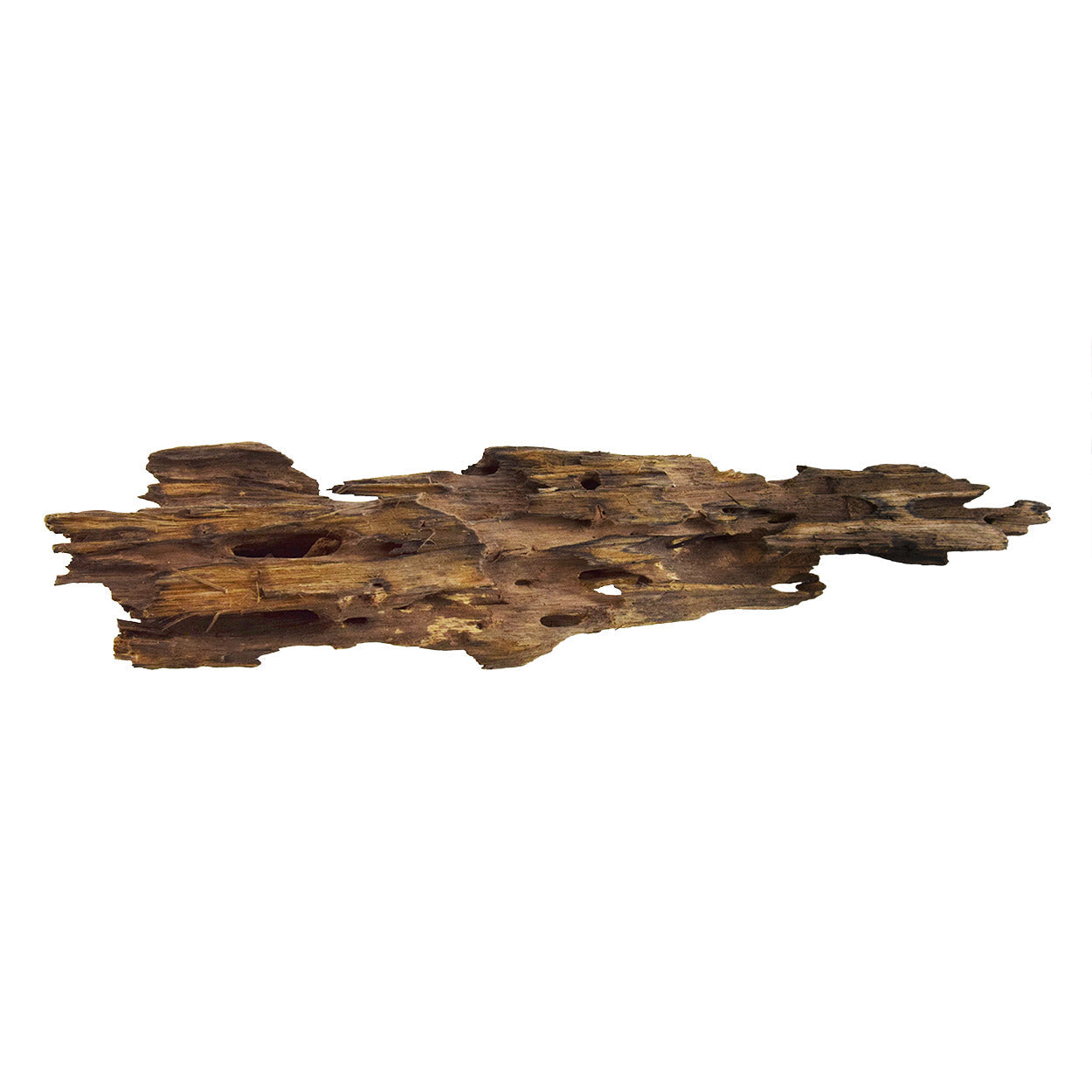Underwater Treasures Honeycomb Wood - Large  