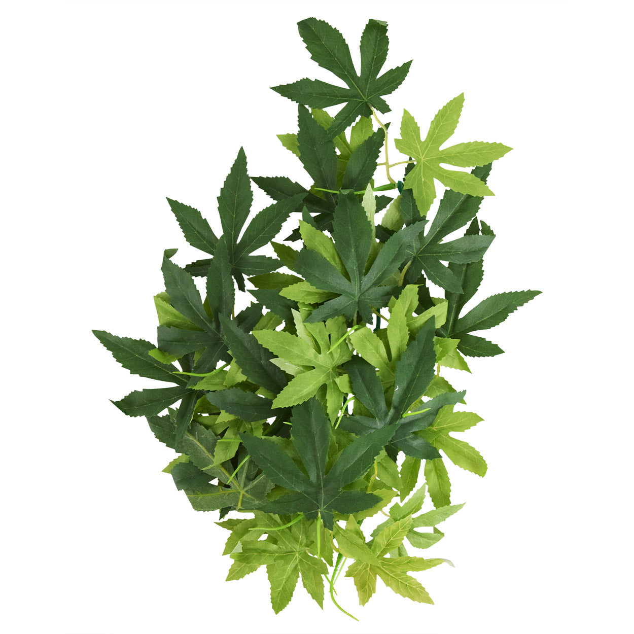 Underwater Treasures Japanese Maple - Green - 18"  