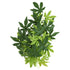 Underwater Treasures Japanese Maple - Green - 18"  