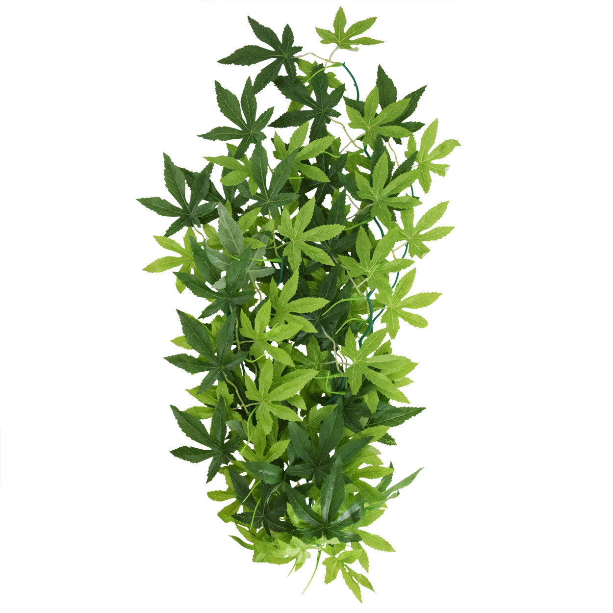 Underwater Treasures Japanese Maple - Green - 24"  