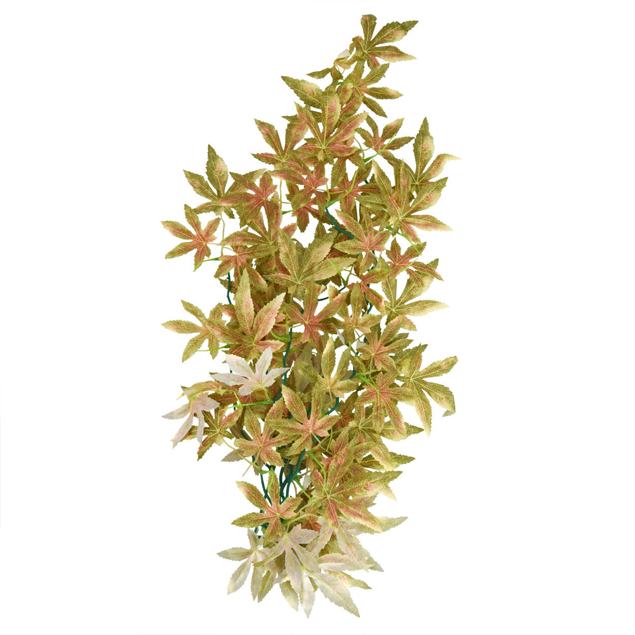 Underwater Treasures Japanese Maple - Red - 24