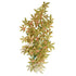 Underwater Treasures Japanese Maple - Red - 24"  