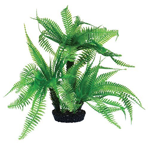 Underwater Treasures Jurassic Fern - 10"
