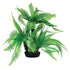 Underwater Treasures Jurassic Fern - 10"  