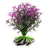 Underwater Treasures Lavender Ball Plant  