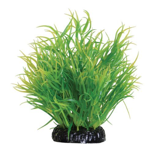 Underwater Treasures Lemon Grass - 6"  