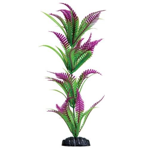 Underwater Treasures Lonely Heart Fern - 12