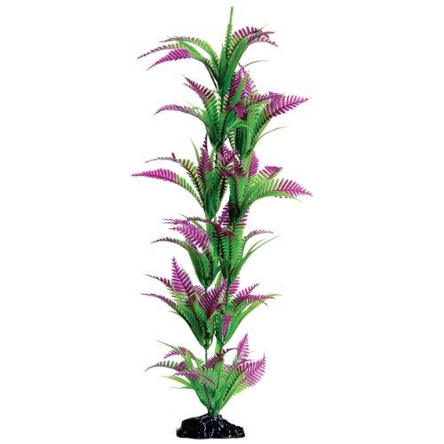 Underwater Treasures Lonely Heart Fern - 20"