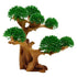 Underwater Treasures Lucky Bonsai  