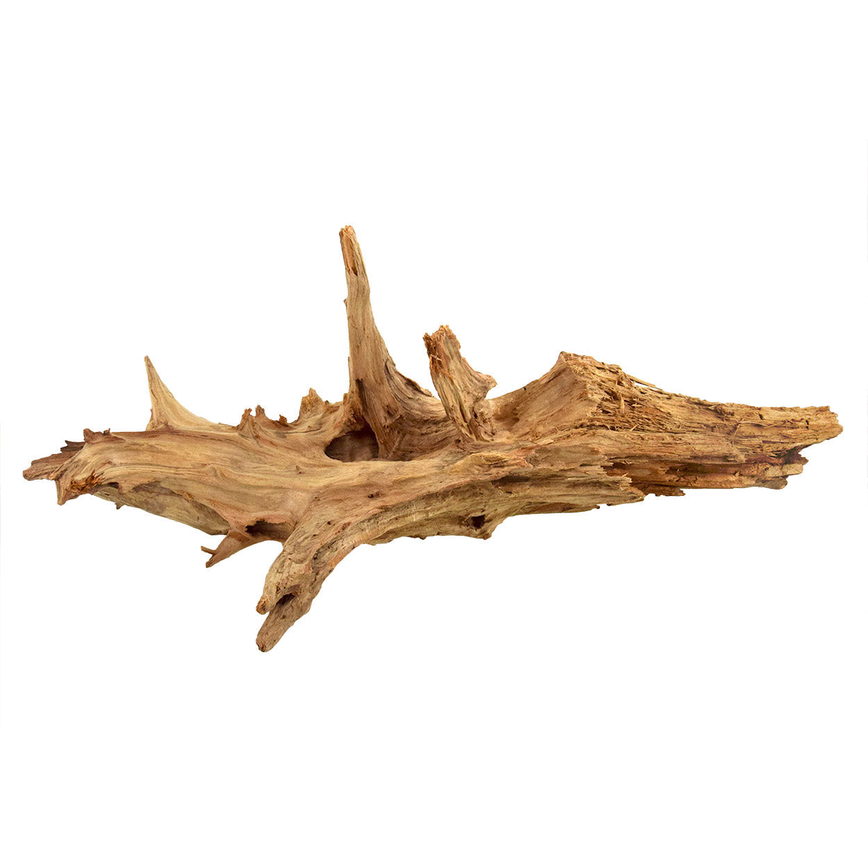 Underwater Treasures Lucky Wood Stump  