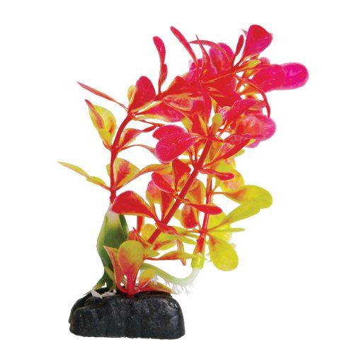 Underwater Treasures Ludwigia - Red - 4.5