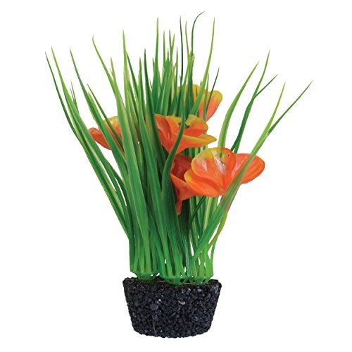 Underwater Treasures Luna Lily - Orange - 7
