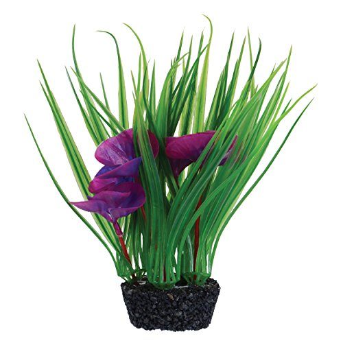 Underwater Treasures Luna Lily - Purple - 7