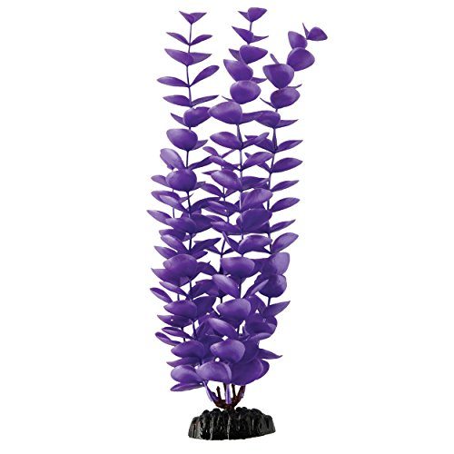 Underwater Treasures Magenta Bacopa - 11"  