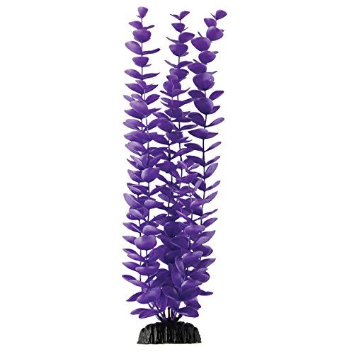 Underwater Treasures Magenta Bacopa - 14.5"  