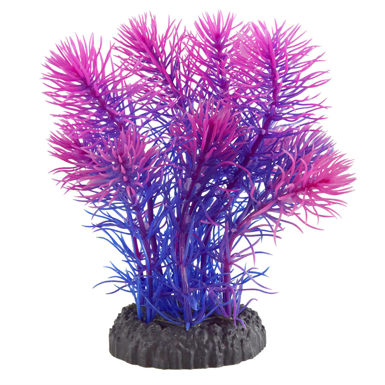 Underwater Treasures Magenta Cabomba  