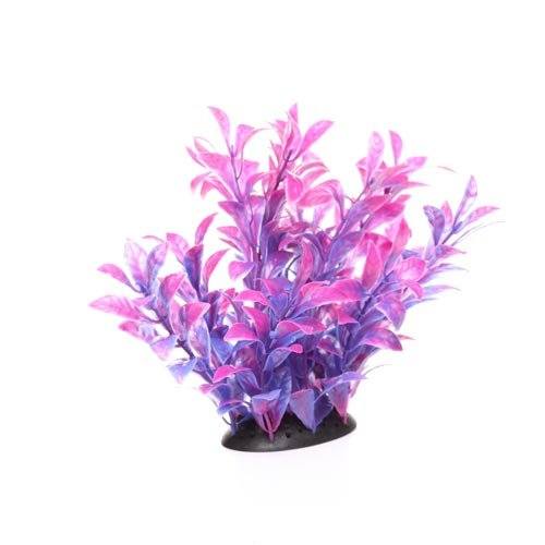 Underwater Treasures Magenta Ludwigia - 6.5"  