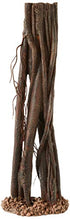 Underwater Treasures Mangrove Root - Small  