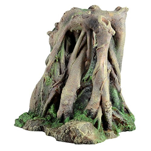 Underwater Treasures Mangrove with Plant  