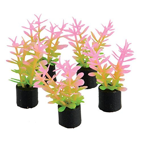 Underwater Treasures Mini Plant - Pink and Green - 1.5" - 5 pk